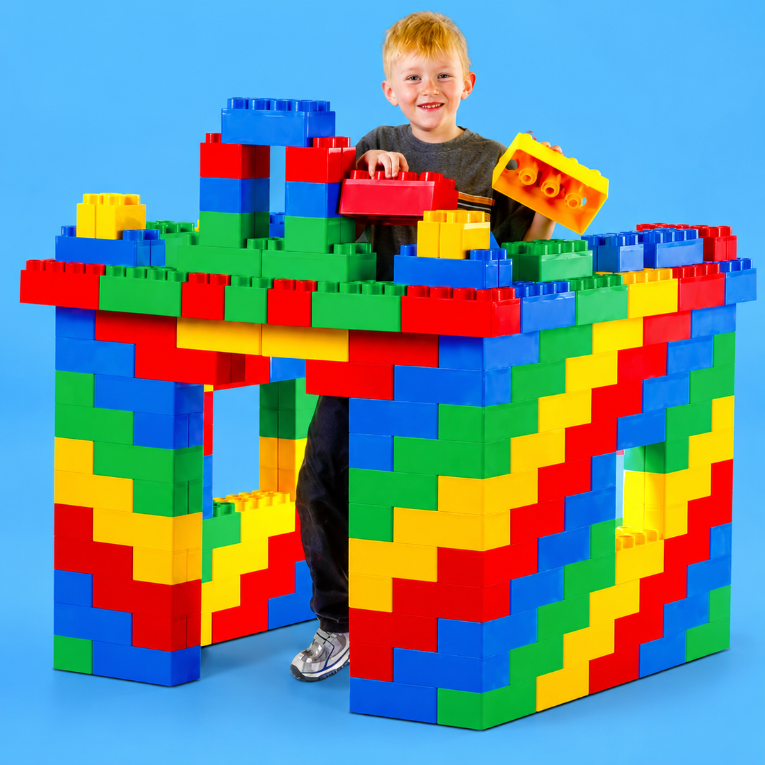 BiggoBlocks 48 Piece Sets-Parent