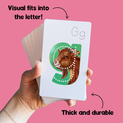 Phonics Alphabet Flash Cards for Preschool Kids