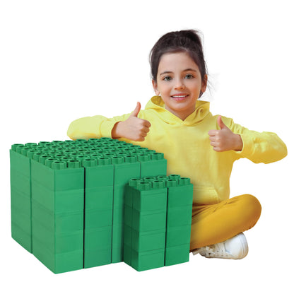 BiggoBlocks 48 Piece Sets-Parent