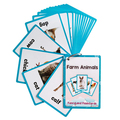 English Word Flash Cards for Preschool Learning