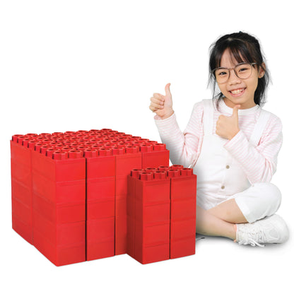 BiggoBlocks 48 Piece Sets-Parent
