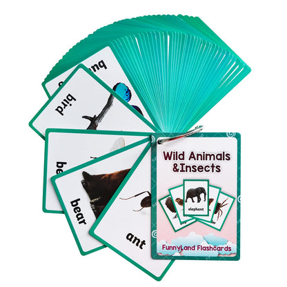 English Word Flash Cards for Preschool Learning
